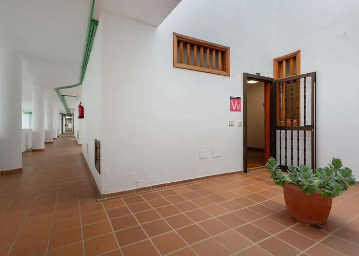 Terrace With Ocean View * Costa Adeje (Tenerife)